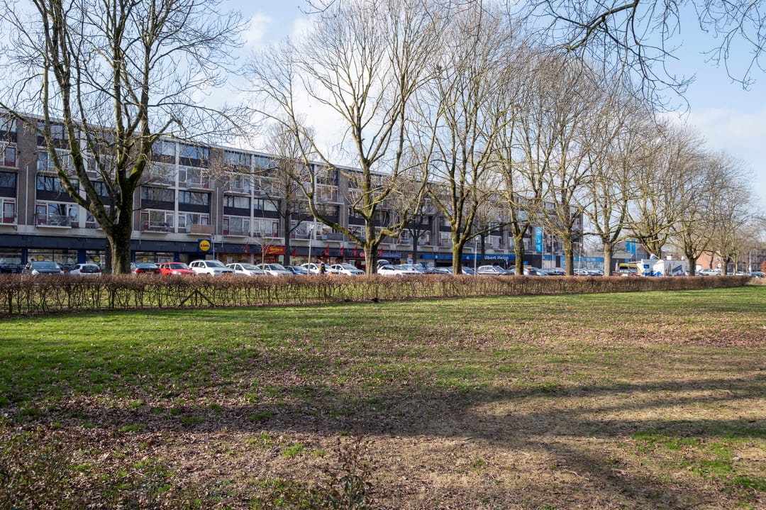 Foto 56 van Nicolaas Beetsstraat 65