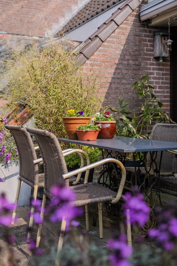 Foto 20 van De Bus 12