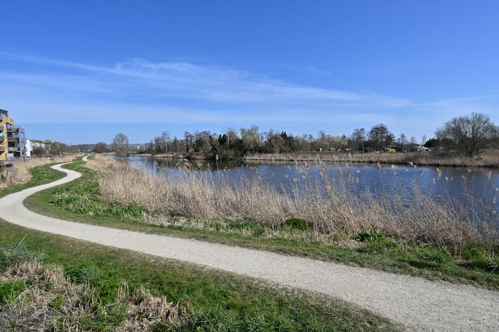 Foto 3 van Tamis Weer 49