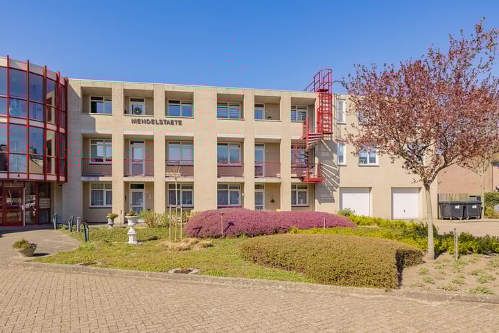 Foto 5 van Darwinplantsoen 40