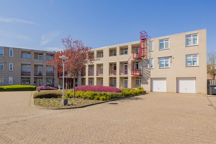 Foto 29 van Darwinplantsoen 40