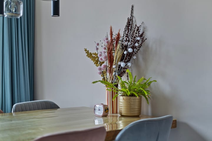 Foto 21 van Potgieterstraat 1