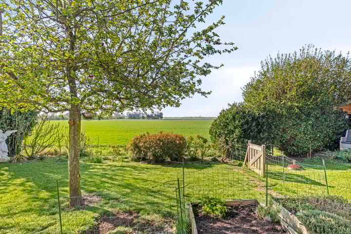 Foto 31 van Nieuwe Wei 6