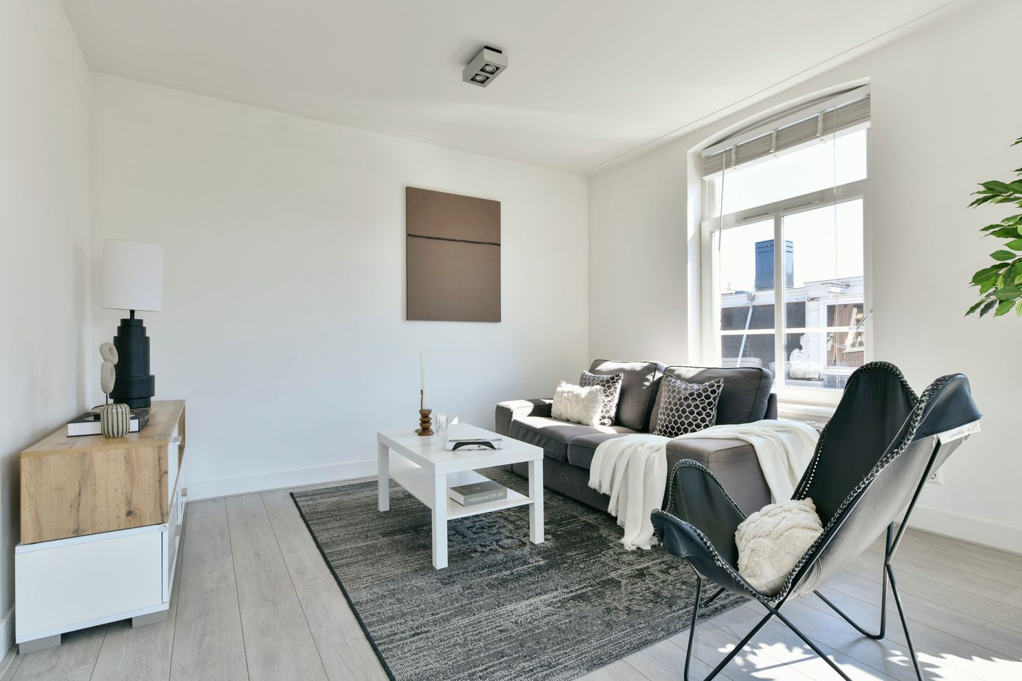 Foto 5 van Eerste Sweelinckstraat 11-3