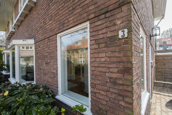 Photo 83 of Hugo de Grootstraat 3