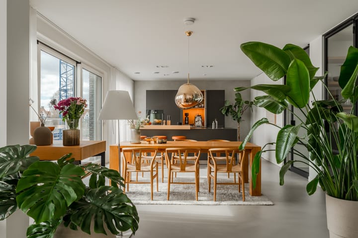 Foto 14 van Memeleiland 135