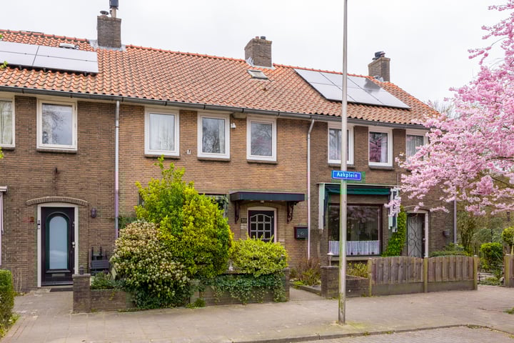 Aakplein 10