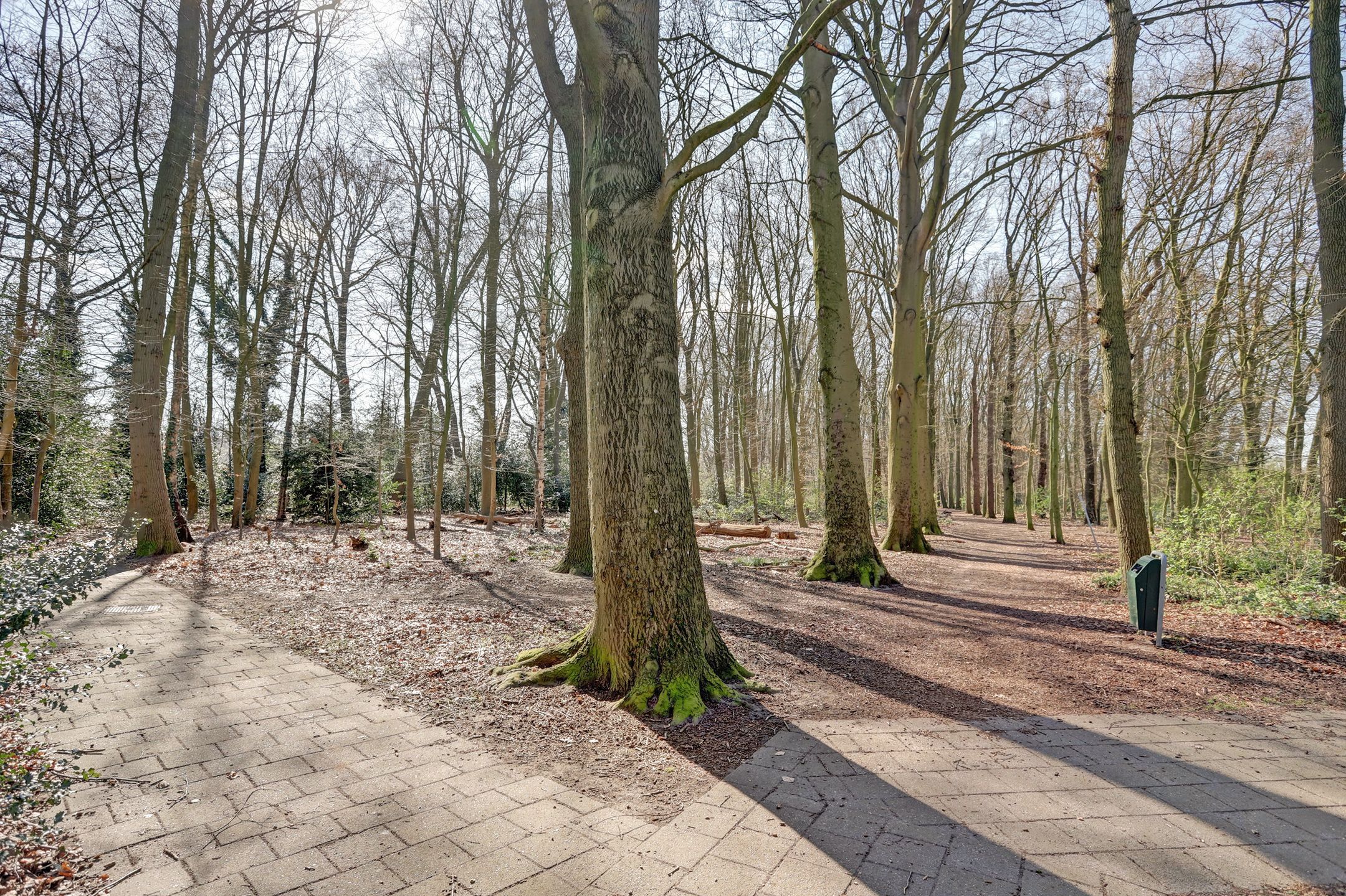 Foto 42 van Laan der Verenigde Naties 29