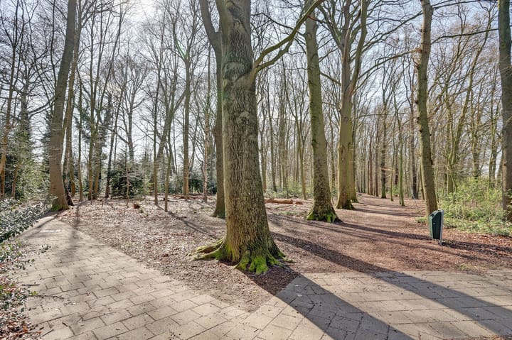 Photo 42 of Laan der Verenigde Naties 29