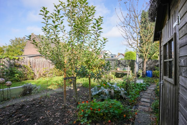 Foto 37 van Baandertweg 95