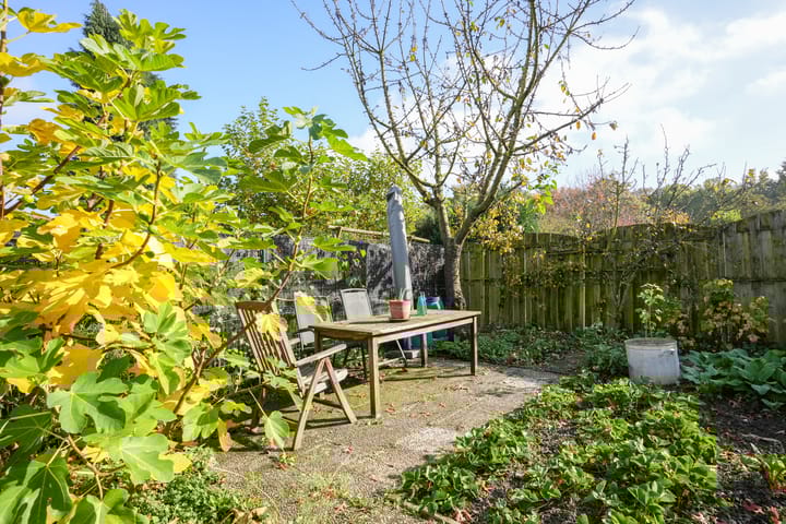 Foto 43 van Baandertweg 95