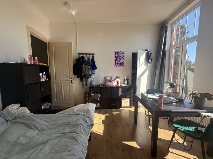 Foto 5 van Helper Westsingel 29-A