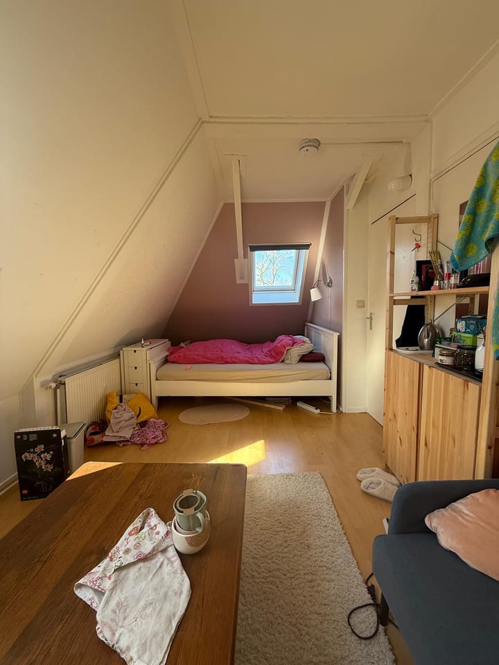 Foto 14 van Helper Westsingel 29-A