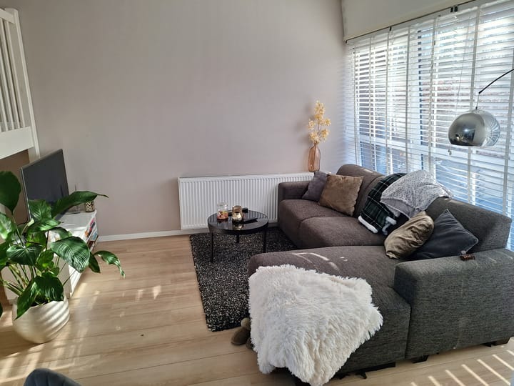 Foto 10 van Sperwerstraat 23-T