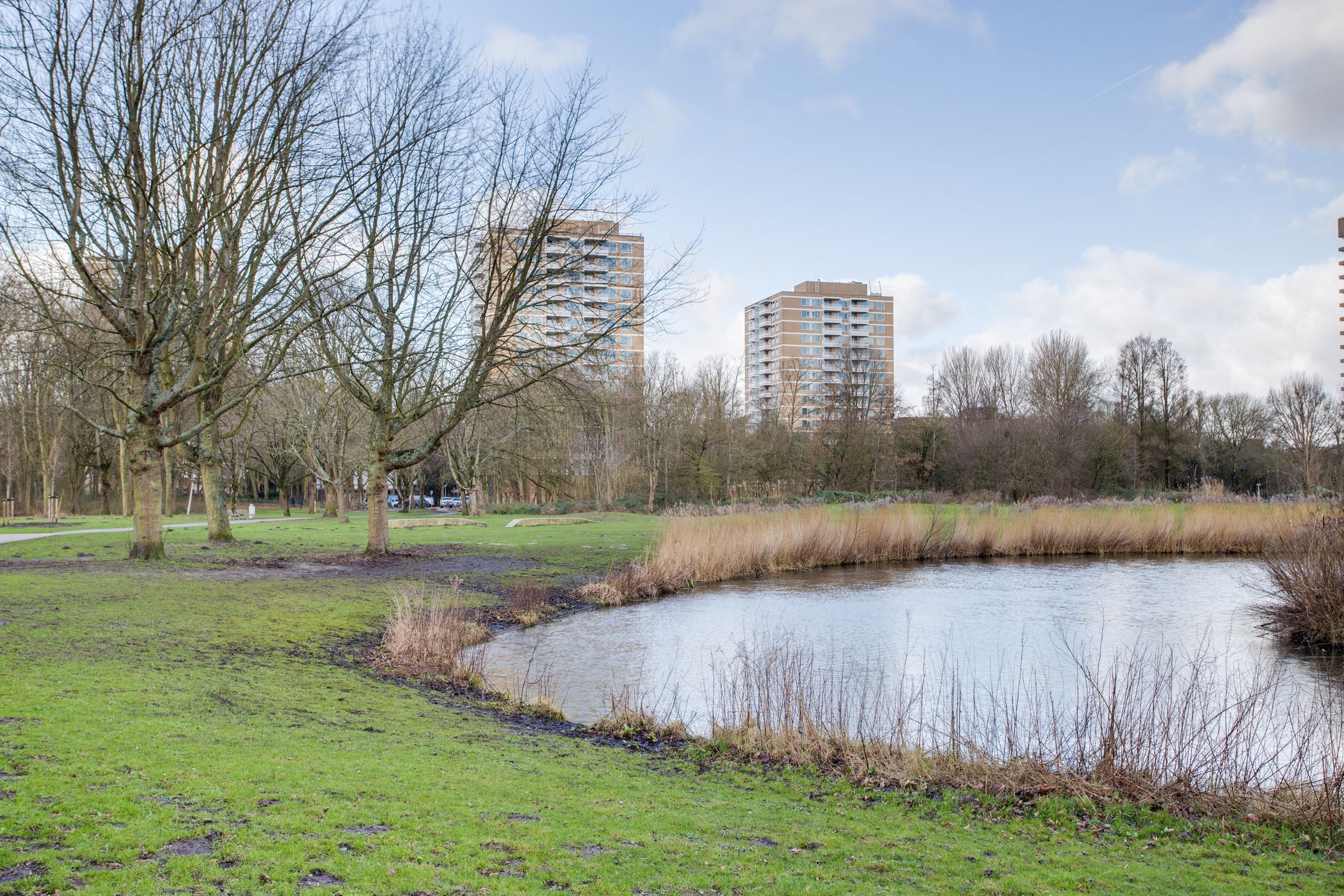 Photo 21 of Staalmeesterslaan 389