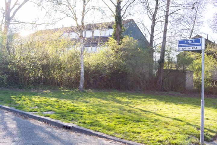 Photo 36 of 't Hert 126