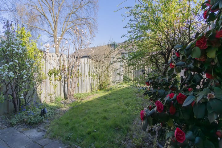 Foto 5 van 't Hert 126