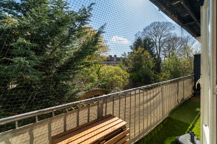 Foto 11 van Caan van Necklaan 302