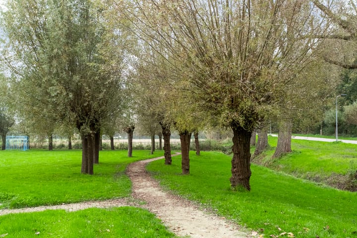 Foto 40 van Combinatiepolder 70