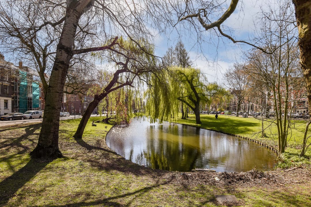 Photo 16 of Nieuwe Binnenweg 306-B