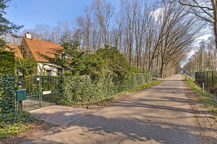 Foto 45 van Molenweg 13