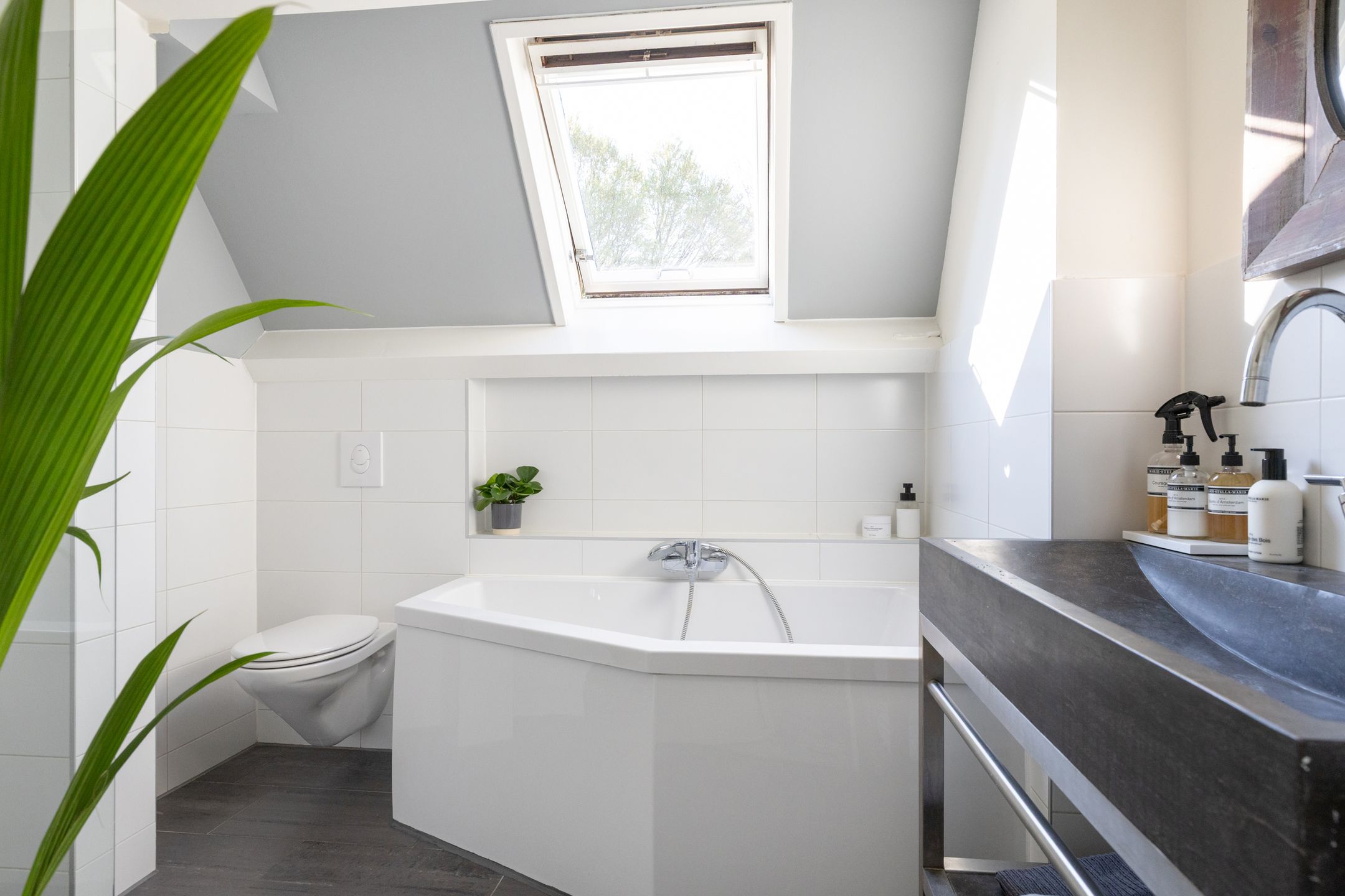 Foto 30 van Zwaansteeg 9