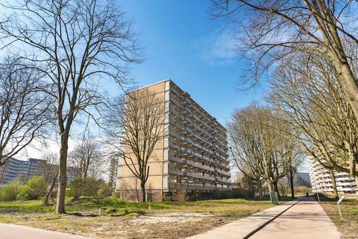 Photo 8 of Jonkerbos 45