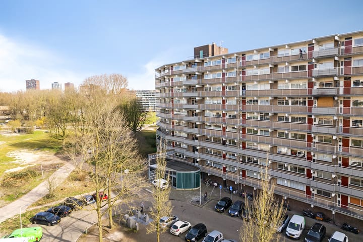 Photo 44 of Jonkerbos 45