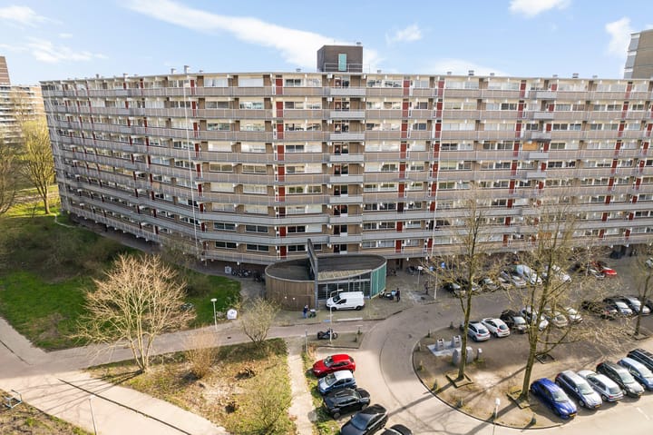 Photo 45 of Jonkerbos 45