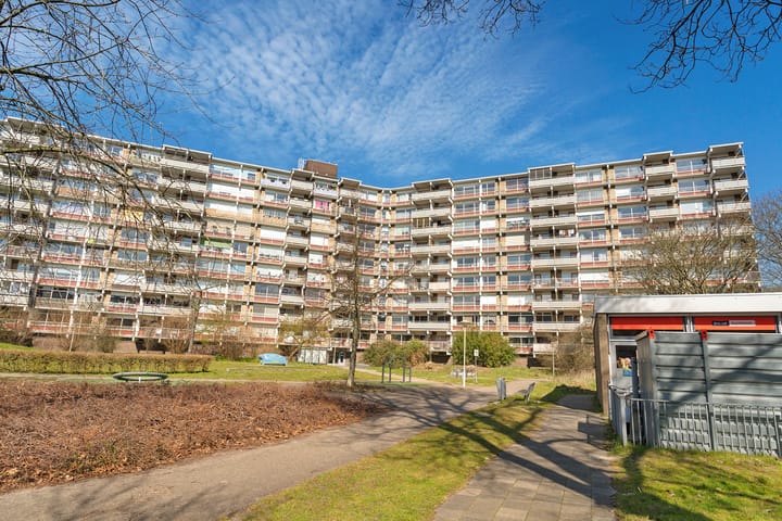 Photo 50 of Jonkerbos 45