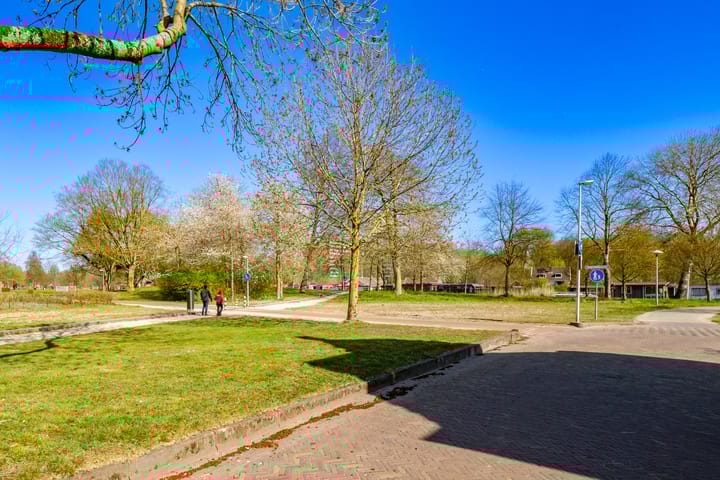 Foto 32 van Rochus Meeuwiszstraat 33