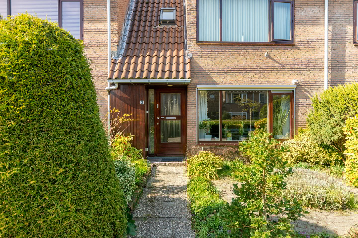 Foto 5 van Droogbloem 3