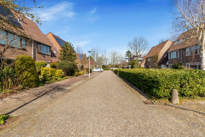 Foto 7 van Droogbloem 3