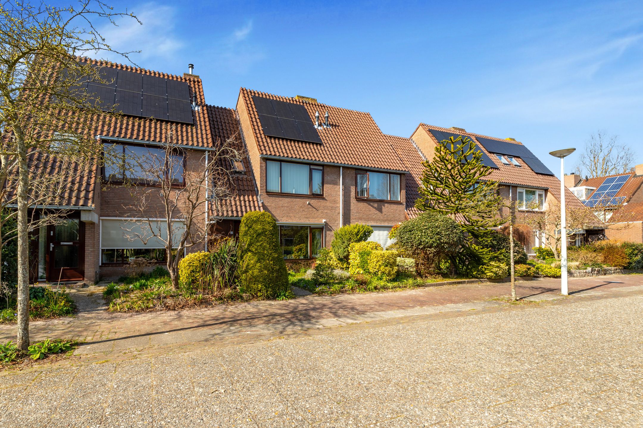 Foto 6 van Droogbloem 3