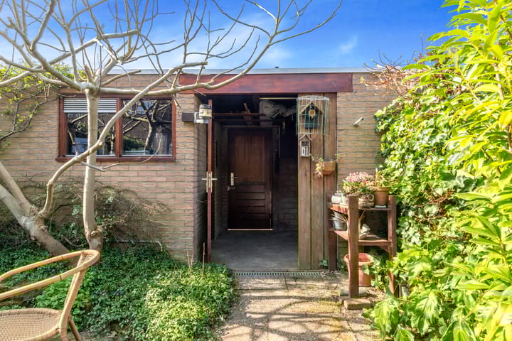 Foto 40 van Droogbloem 3