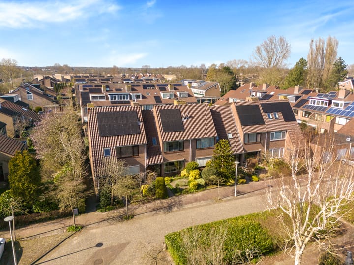 Foto 43 van Droogbloem 3