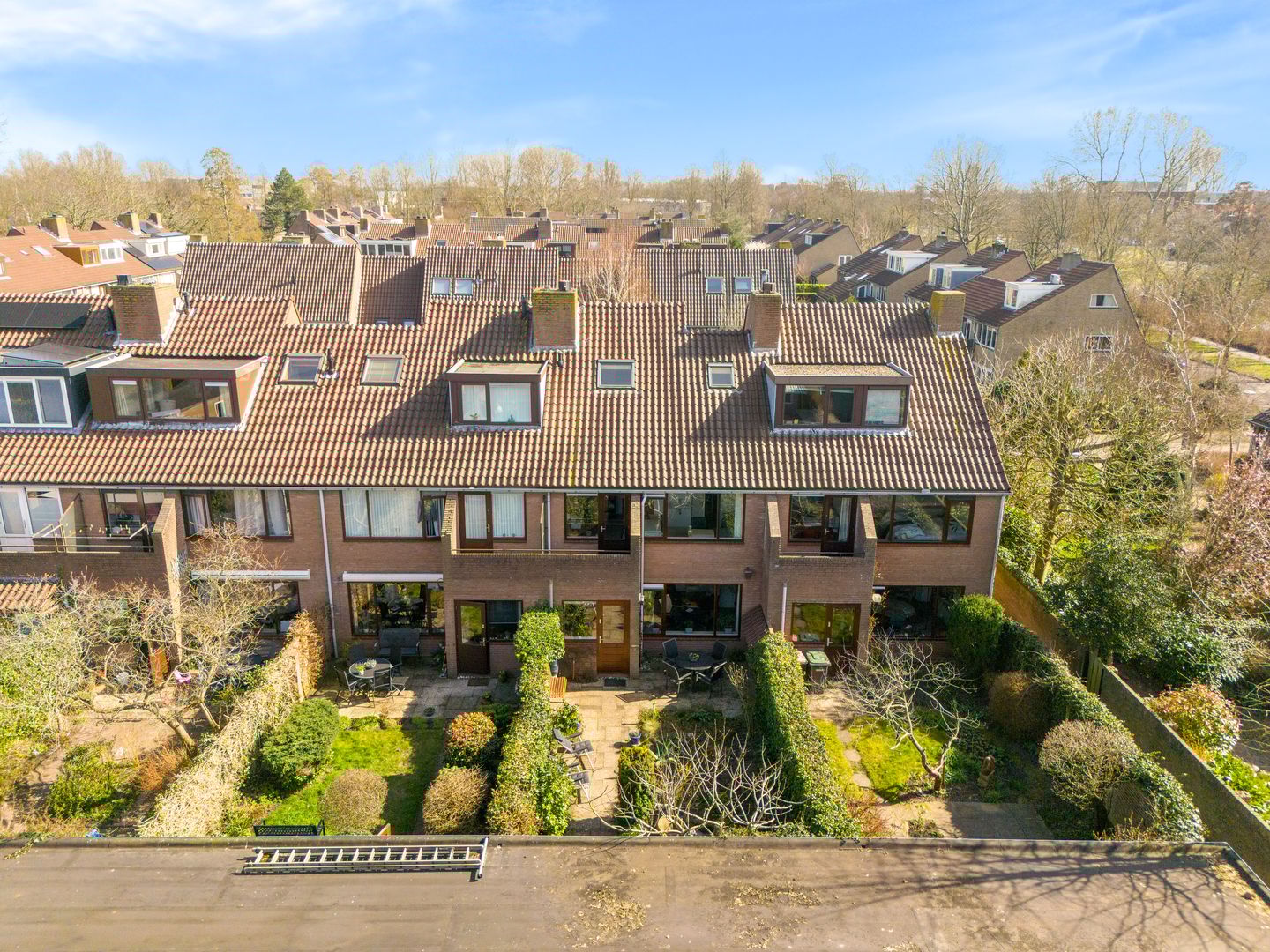 Foto 44 van Droogbloem 3