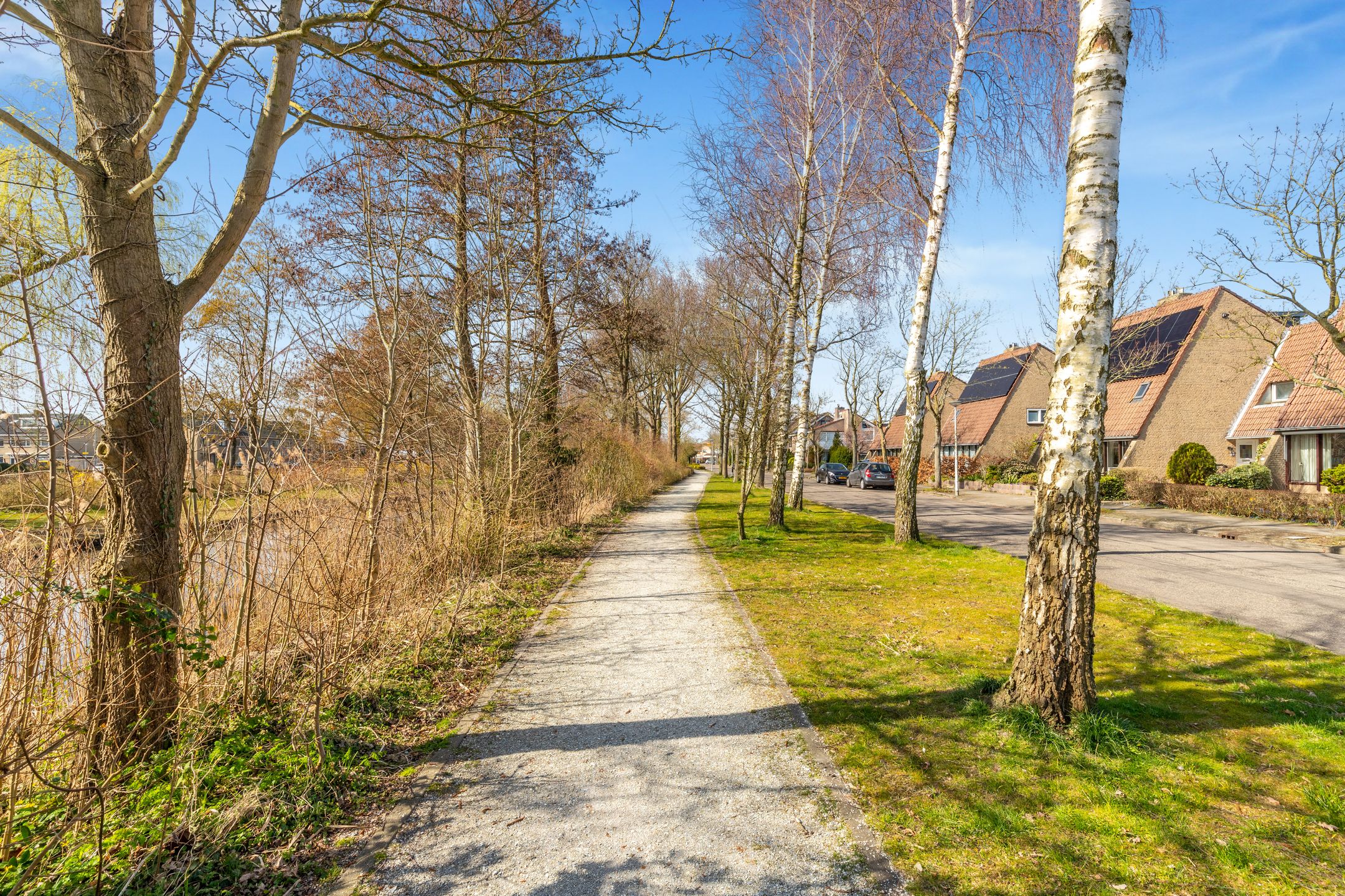 Foto 45 van Droogbloem 3