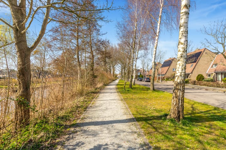 Foto 45 van Droogbloem 3