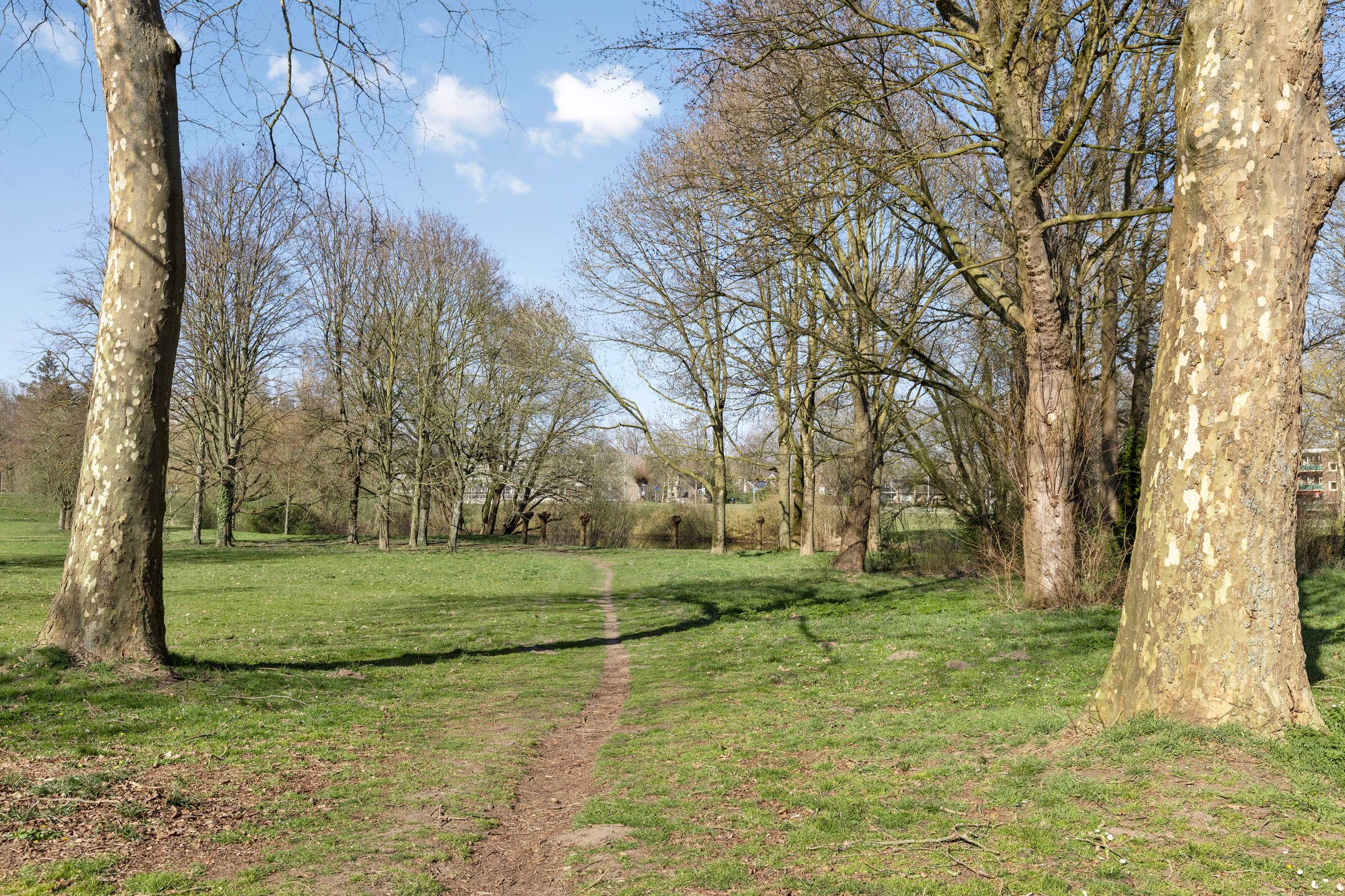 Photo 24 of Constantijn Huygensstraat 138