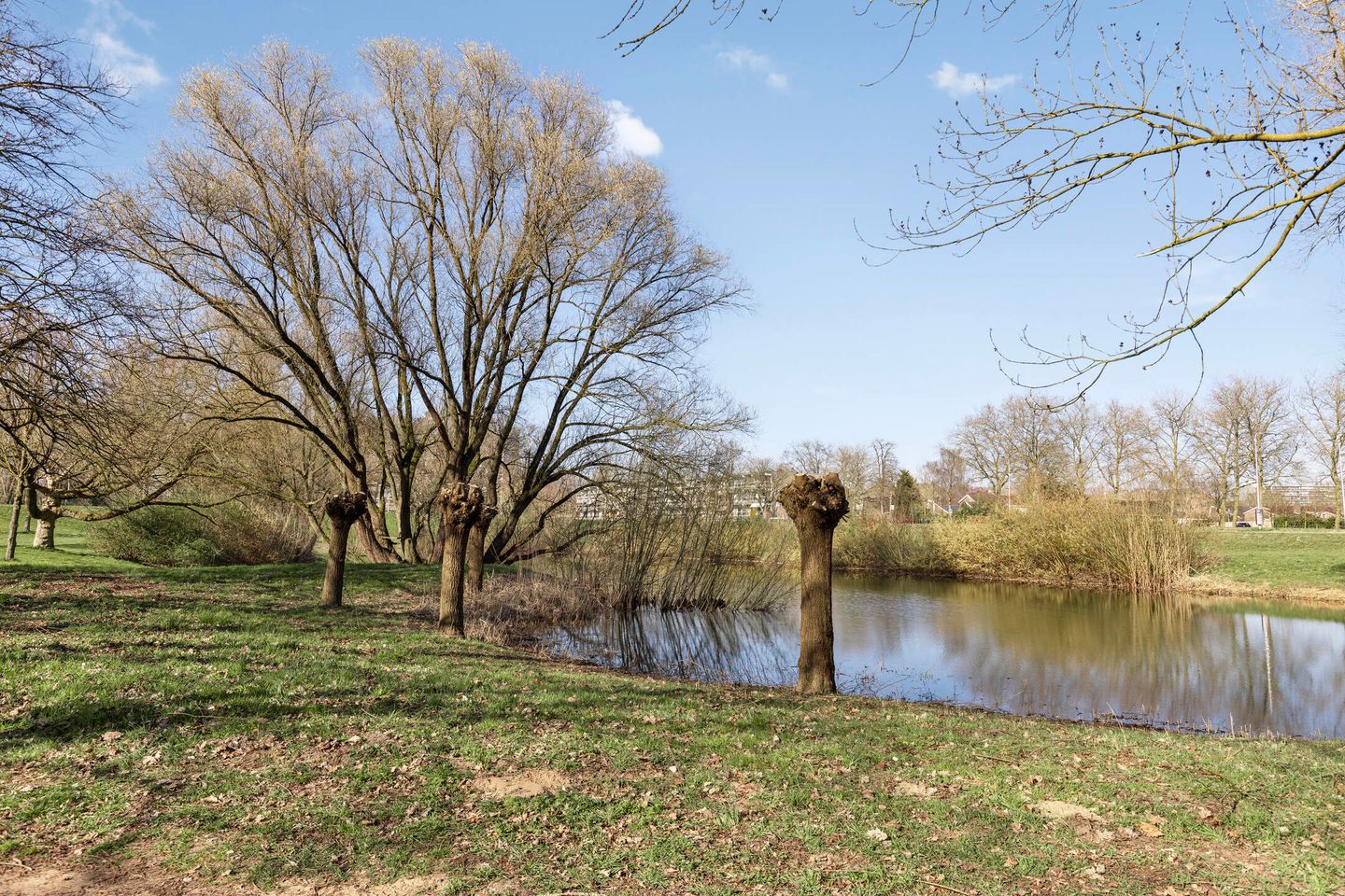 Photo 25 of Constantijn Huygensstraat 138