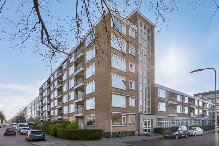 Foto 25 van Erasmusplein 162