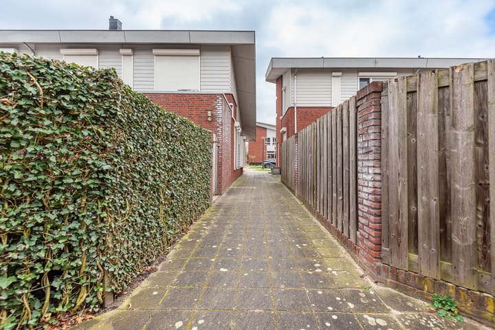 Foto 35 van Waterkers 10