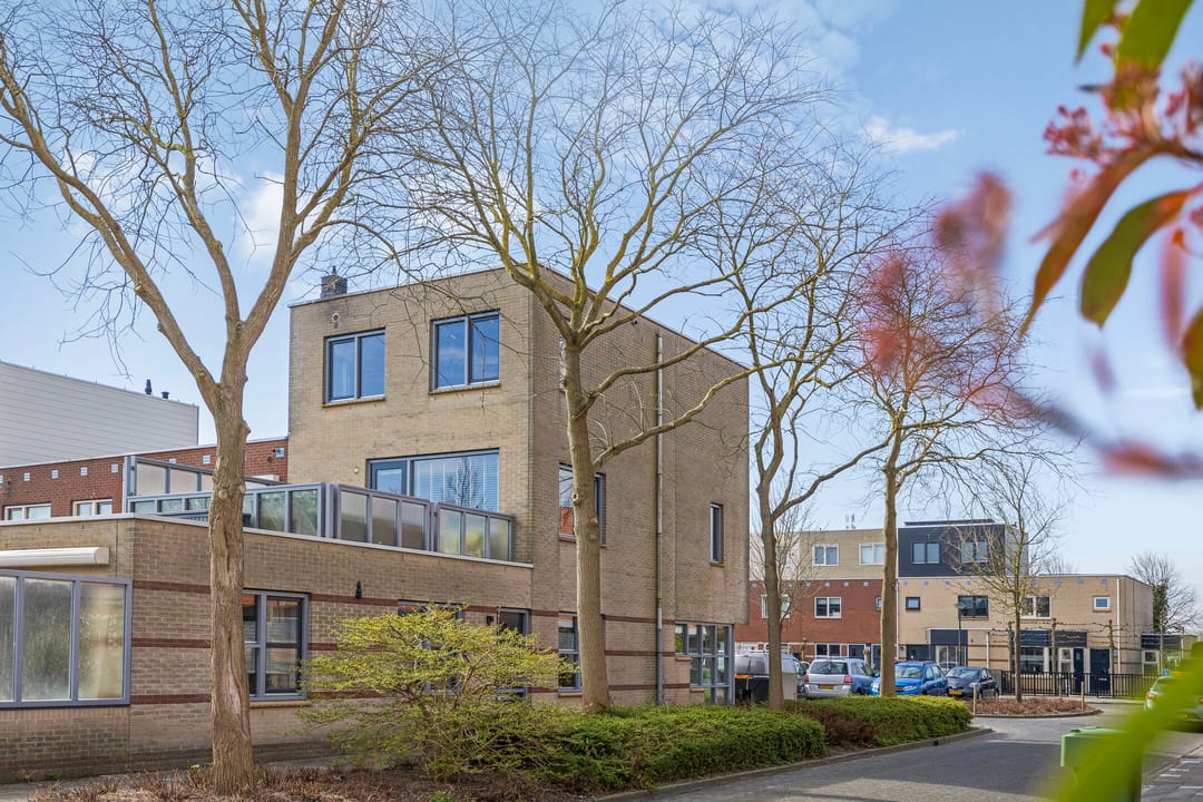 Photo 31 of Anna van Bossetuin 5