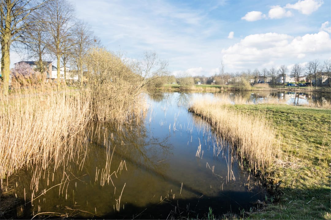 Photo 38 of Berlijnstraat 47