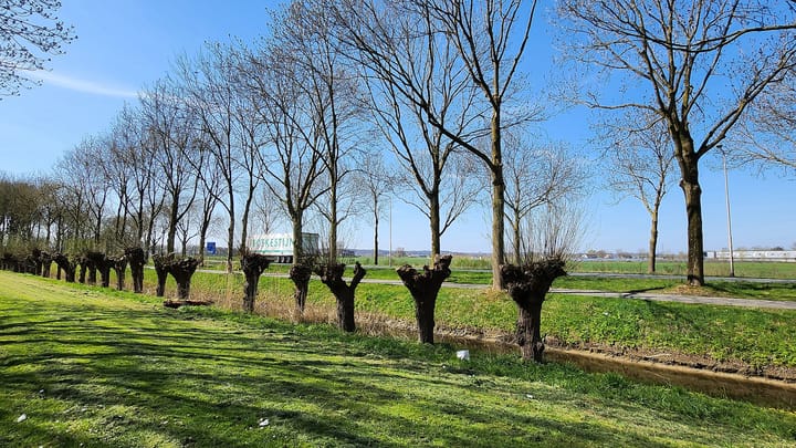 Foto 2 van Groen van Prinstererstraat 127