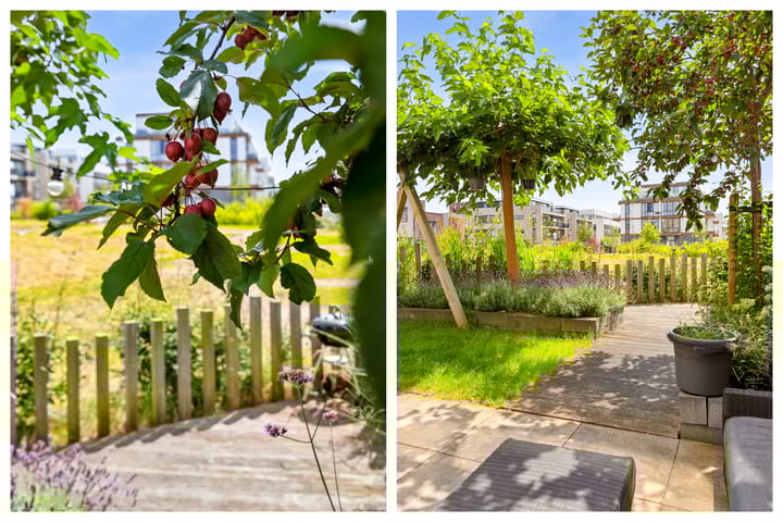 Foto 18 van IJslandstraat 11