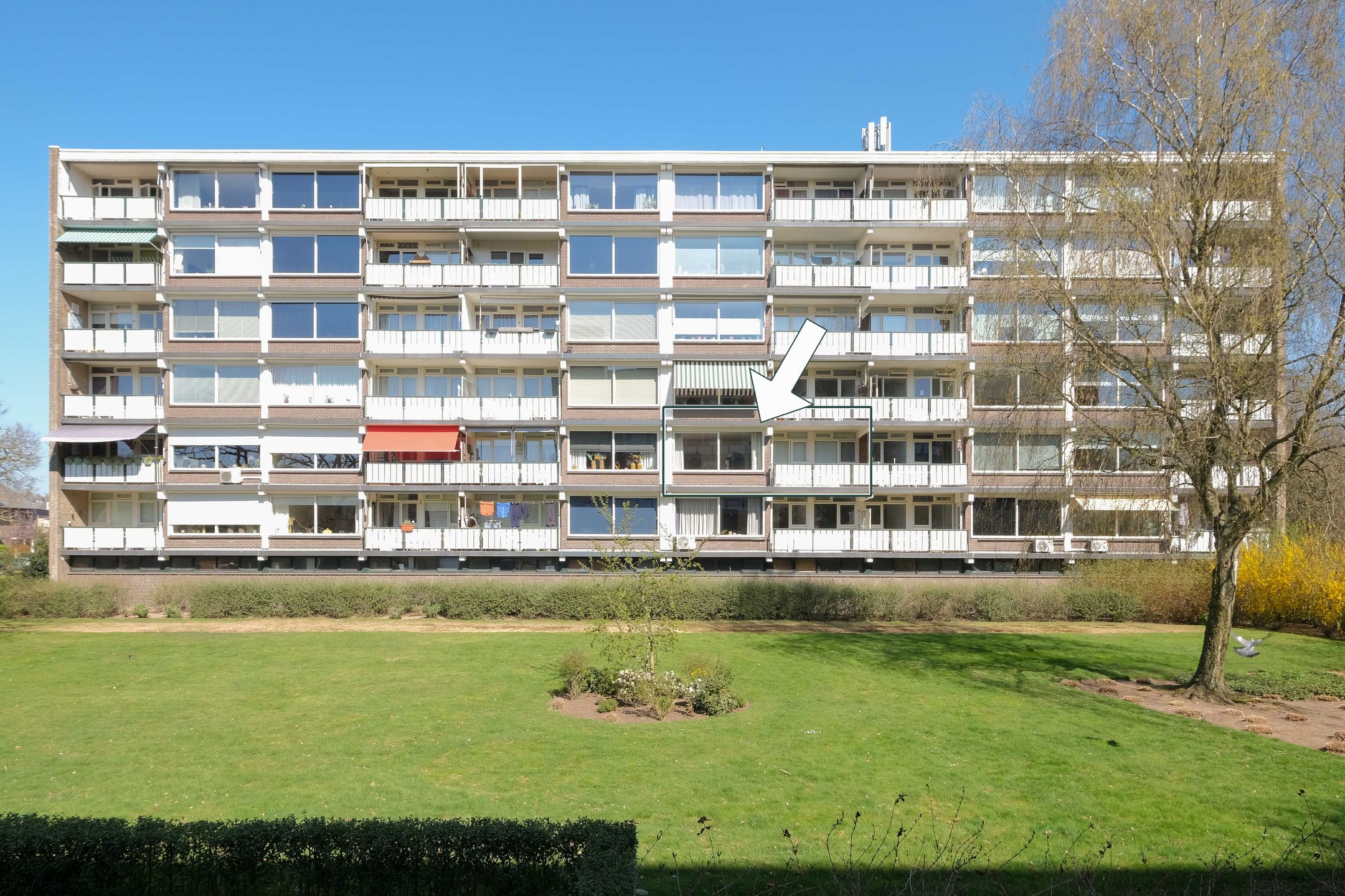 Foto 3 van Frerikshuislaan 91