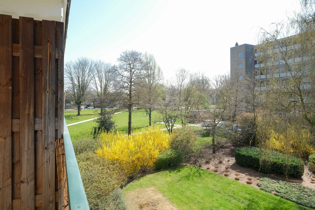 Foto 22 van Frerikshuislaan 91