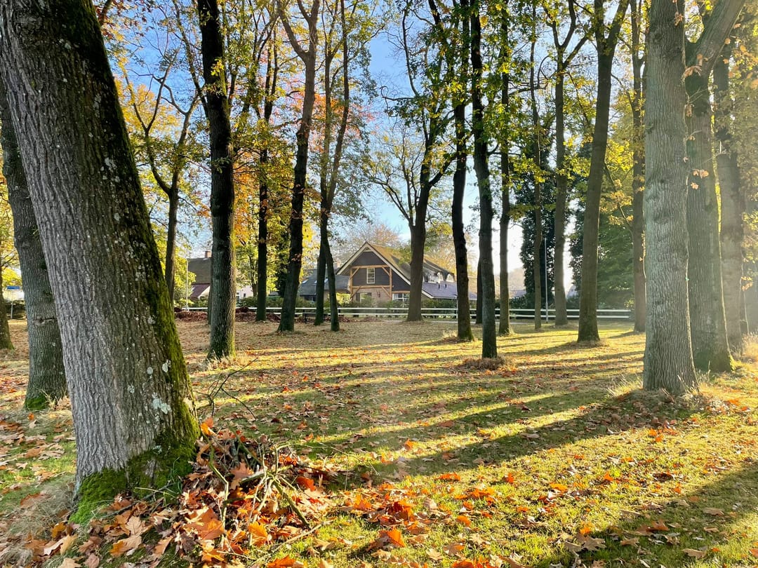 Photo 47 of Oringerbrink 162